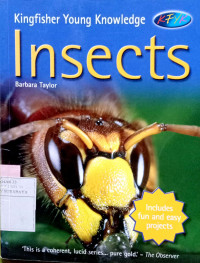 Image of Insects