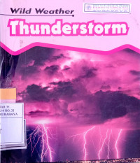 Image of Thunderstorm