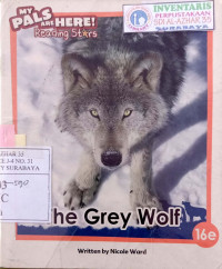 Image of The grey wolf