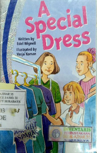 Image of Cambridge level 2 : a special dress