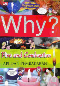 Image of Why : Fire and Combustion